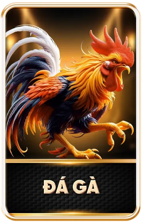 đá gà king88